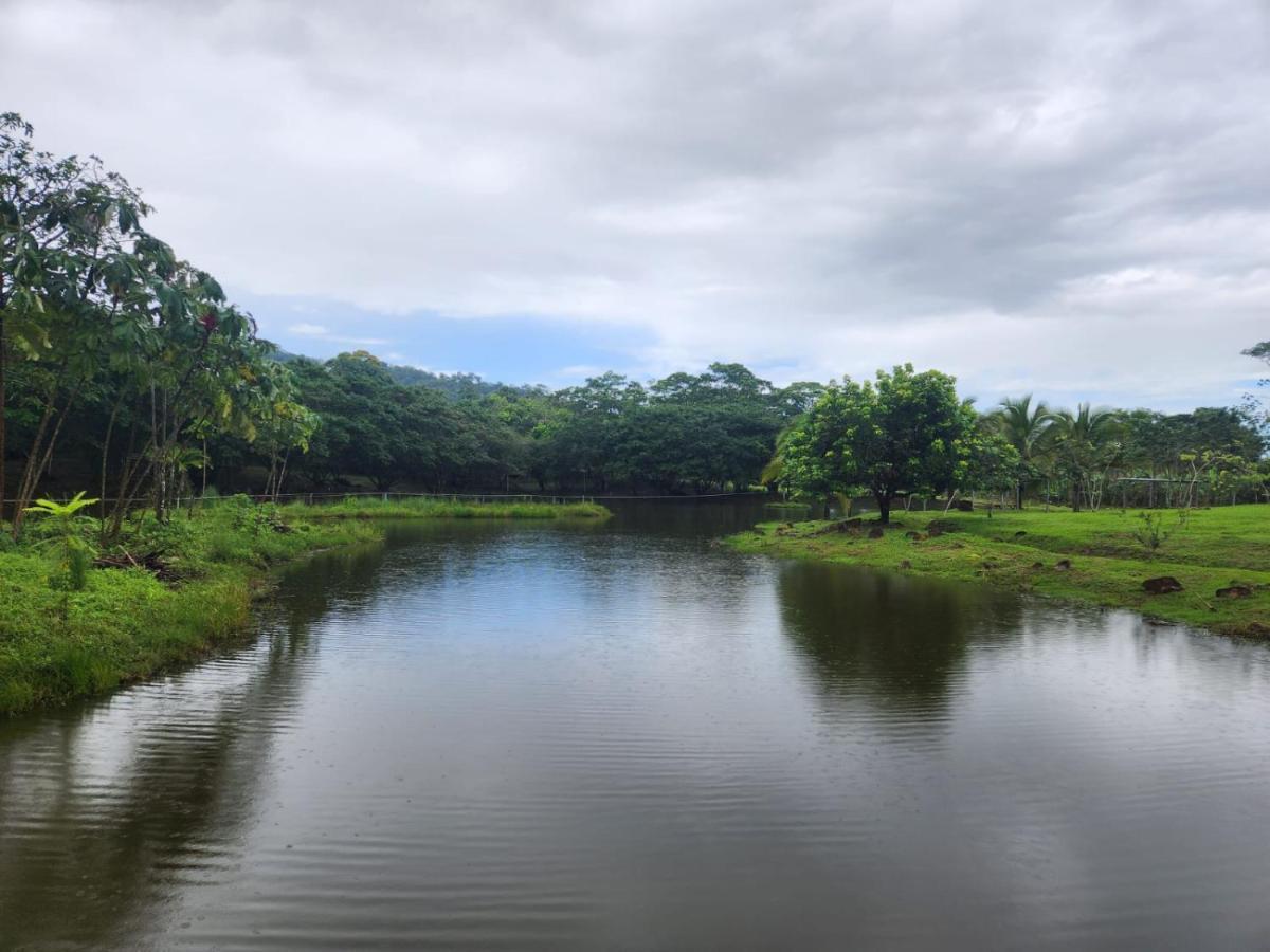 אפרטהוטל La Pina, Rio Celeste מראה חיצוני תמונה