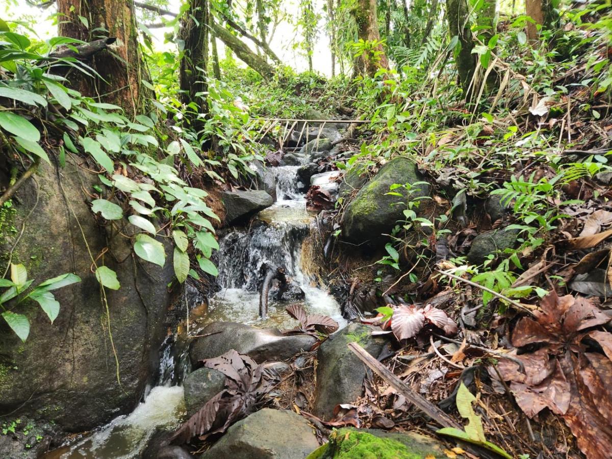 אפרטהוטל La Pina, Rio Celeste מראה חיצוני תמונה
