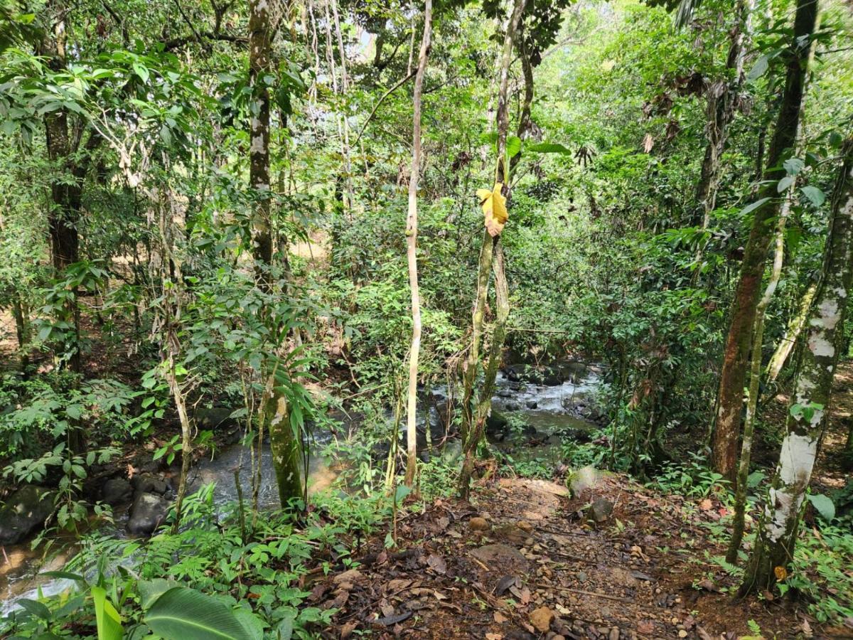 אפרטהוטל La Pina, Rio Celeste מראה חיצוני תמונה